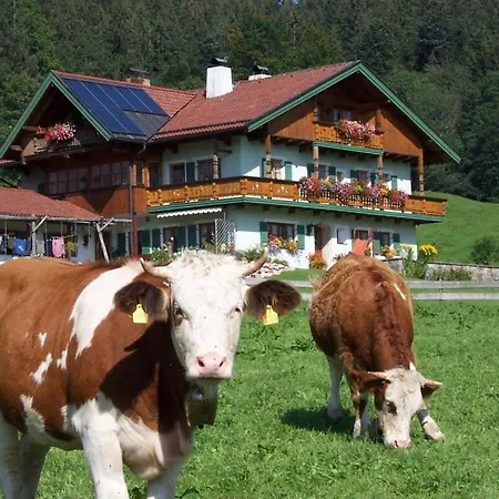 Carefree Inzell