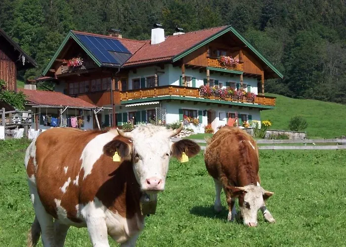 Carefree Inzell